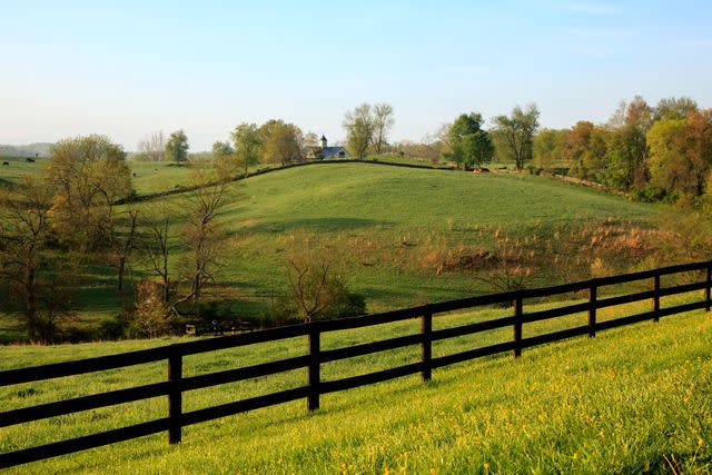 Middleburg: The Horse and Hunt Capital of the Nation