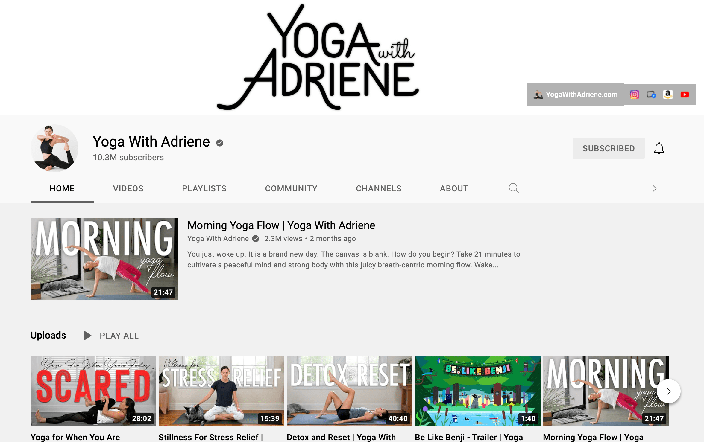 A screenshot of digital creator Yoga With Adrienne's YouTube channel.