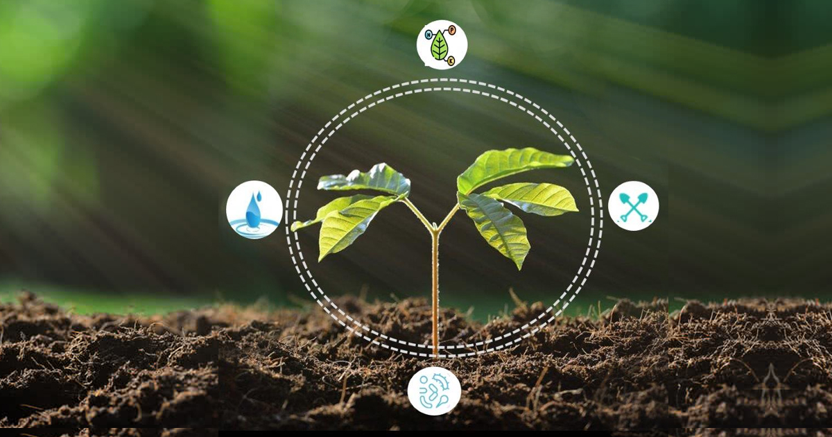 United States Agricultural Biologicals Market: Evaluating Research Investments