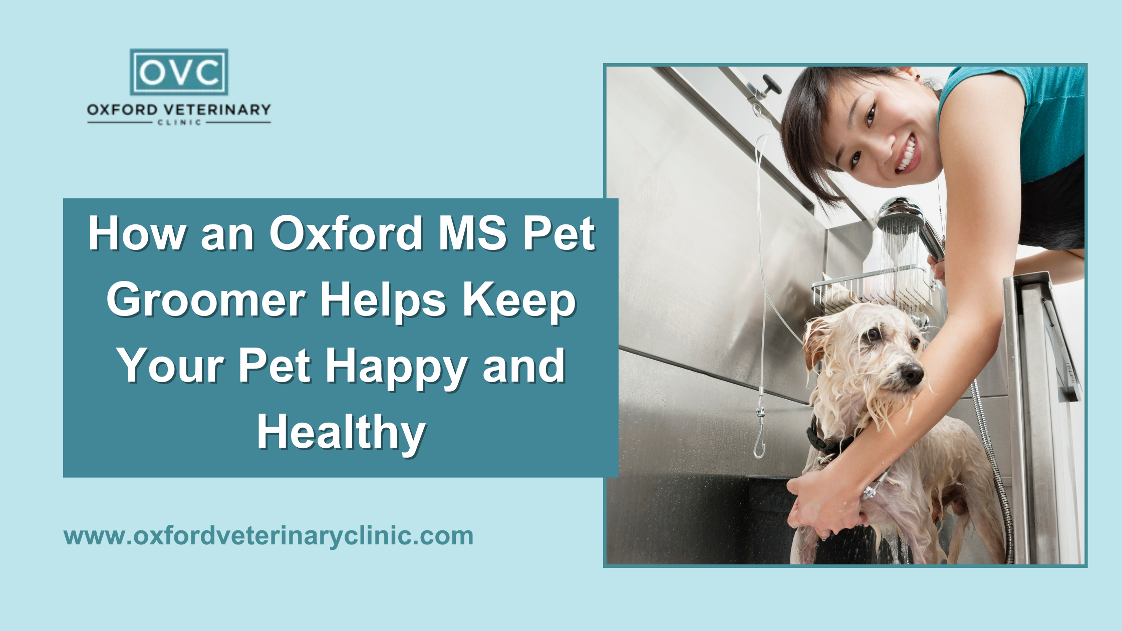 How an Oxford MS Pet Groomer Helps Keep Your Pet Happy and Healthy