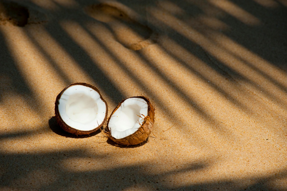 Global Coconut Products Market: Unveiling the Booming Coconut Revolution