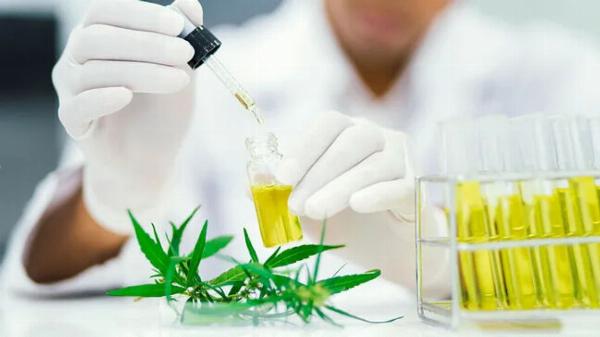 Drug Discovery and Development: The Journey Towards Innovative Therapies