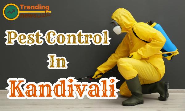 A Comprehensive Guide to Safeguarding Your Home | Pest Control In Kandivali