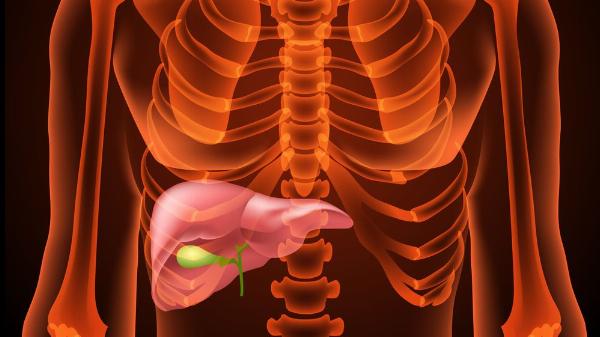 Best Doctors for Gallbladder Surgery in Guwahati: Highly Skilled Doctors Providing Exceptional Care and Expertise for Your Health Needs