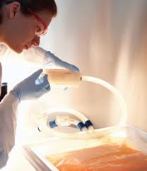 Single-Use Bioprocessing Systems Market Size, Outlook Research Report 2023-2032