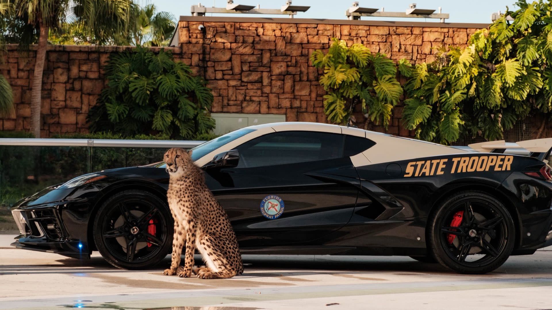 FHP C8 Corvette Wins Best Looking Cruiser
