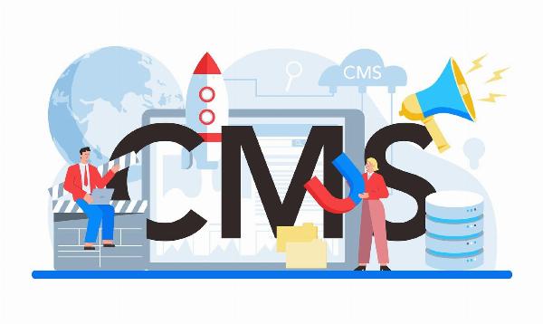 Beyond Templates: How CMS Website Development Services Craft Custom Websites That Convert