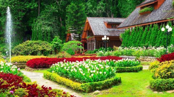 The Benefits of Hiring a Professional Landscape Designer in Agoura Hills