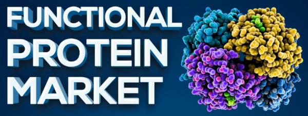 Functional Protein Market Size, Share, Demand &amp; Forecast by Fortune Business Insights