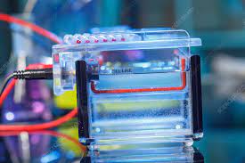 Electrophoresis Equipment Market Size, Share, Price Forecast 2024-2032